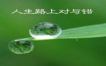 对与错中班社会教案推荐8篇