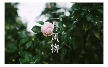 幼儿大班十二月工作总结6篇