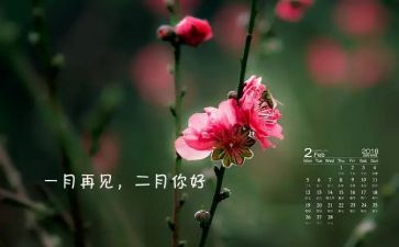幼儿园二月份工作计划8篇