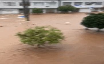 防汛救灾工作总结8篇