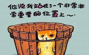 周工作总结与反思模板7篇