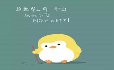 中班减肥教案5篇