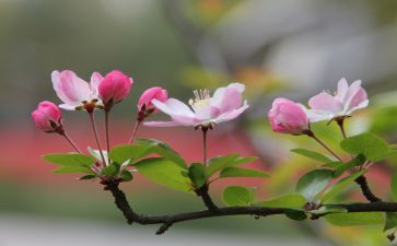 留在记忆里的芬芳初中作文8篇
