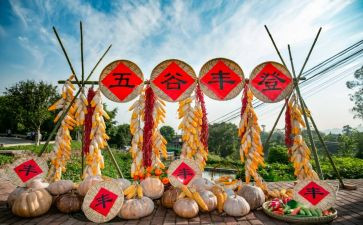 2024年丰收节作文模板5篇
