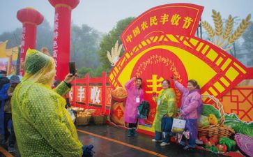 农民丰收节工作总结5篇