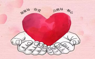 奉献之星事迹7篇