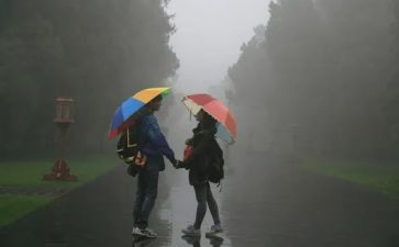 关于风雨的作文600字8篇