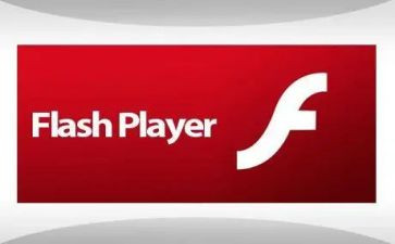 flash的心得体会5篇