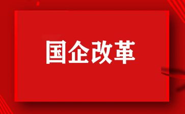 2024年教育改革心得体会模板8篇
