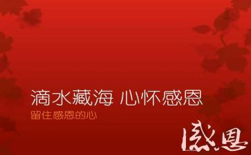 .感恩老师演讲稿7篇