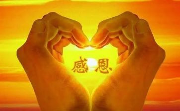 感恩体会心得作文5篇