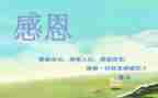 以感恩的心为主题演讲稿推荐8篇