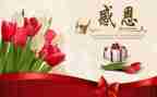 感恩教师作文500字作文7篇