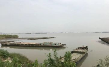 家是爱的港湾作文6篇