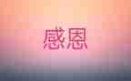 我最感激的人作文参考8篇