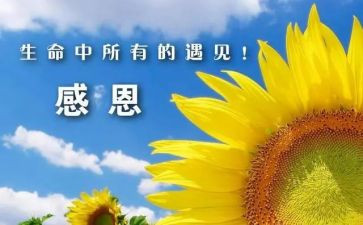 我感谢__作文300字优质6篇