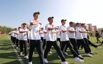 高一作文800字5篇