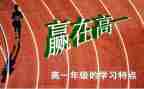 高一物理组工作总结参考8篇