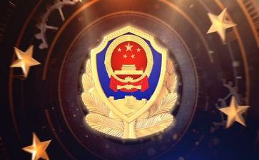 公安工作的述职报告6篇