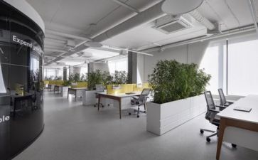 新公司工作总结与计划7篇