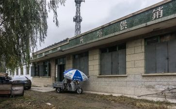 县供销述职报告7篇