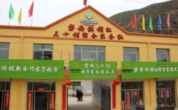 供销社工作总结6篇