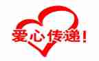 公益类活动的心得体会模板8篇