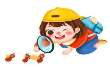 观察小燕子的作文5篇