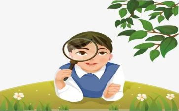 水仙花观察作文8篇