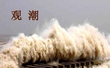 观潮听课心得7篇