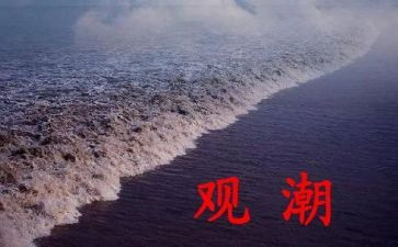 观潮听课心得体会8篇