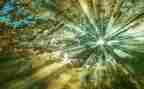 阳光体育活动总结最新7篇