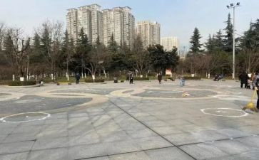 在广场的蟋蟀的读后感5篇