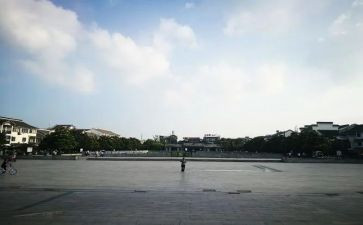 蟋蟀广场的蟋蟀读后感精选8篇