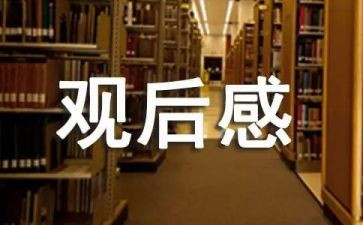 《八佰》电影观后感800字6篇