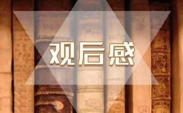 字与画观后感优质8篇