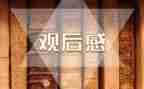 字与画观后感优质8篇