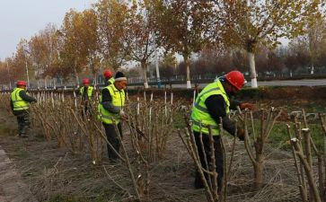 主管护理师工作总结5篇