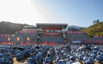 观训心得体会200字最新6篇