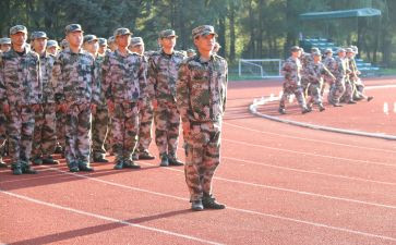观训心得体会300字优质8篇