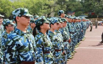 观训心得体会200字5篇