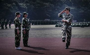 观训心得体会300字5篇