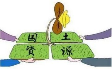 乡镇国土员个人总结7篇
