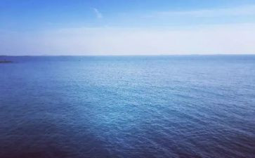 海蛎子活动策划优质6篇