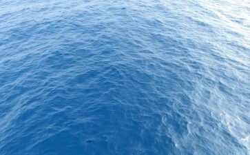 海蛎子活动策划最新5篇