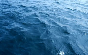 海丝文化主题作文优秀5篇