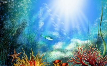 《海底》作文通用5篇