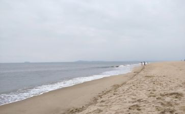 海砂市场调研报告范文推荐6篇