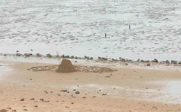 海砂市场调研报告范文7篇