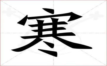寒假实践心得体会500作文5篇